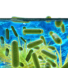 Legionella Risk Assessment